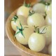 Semillas de Tomate cherry blanco 'Snow white Cherry Tomato'